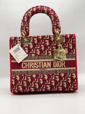 Lady Dior Printed Handbag - Red