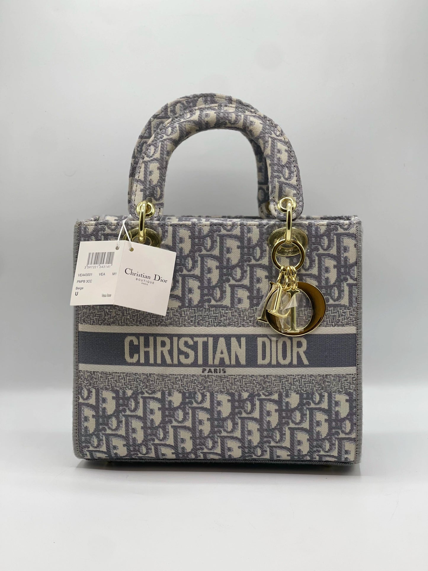 Lady Dior Printed Handbag - Grey