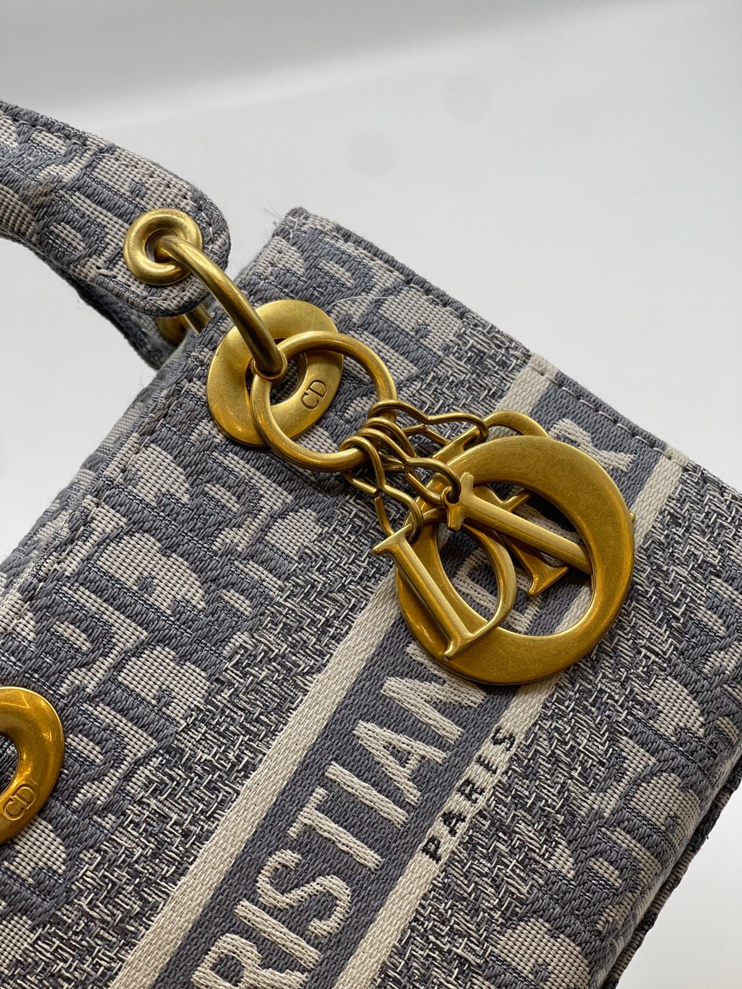 Lady Dior Printed Handbag - Grey