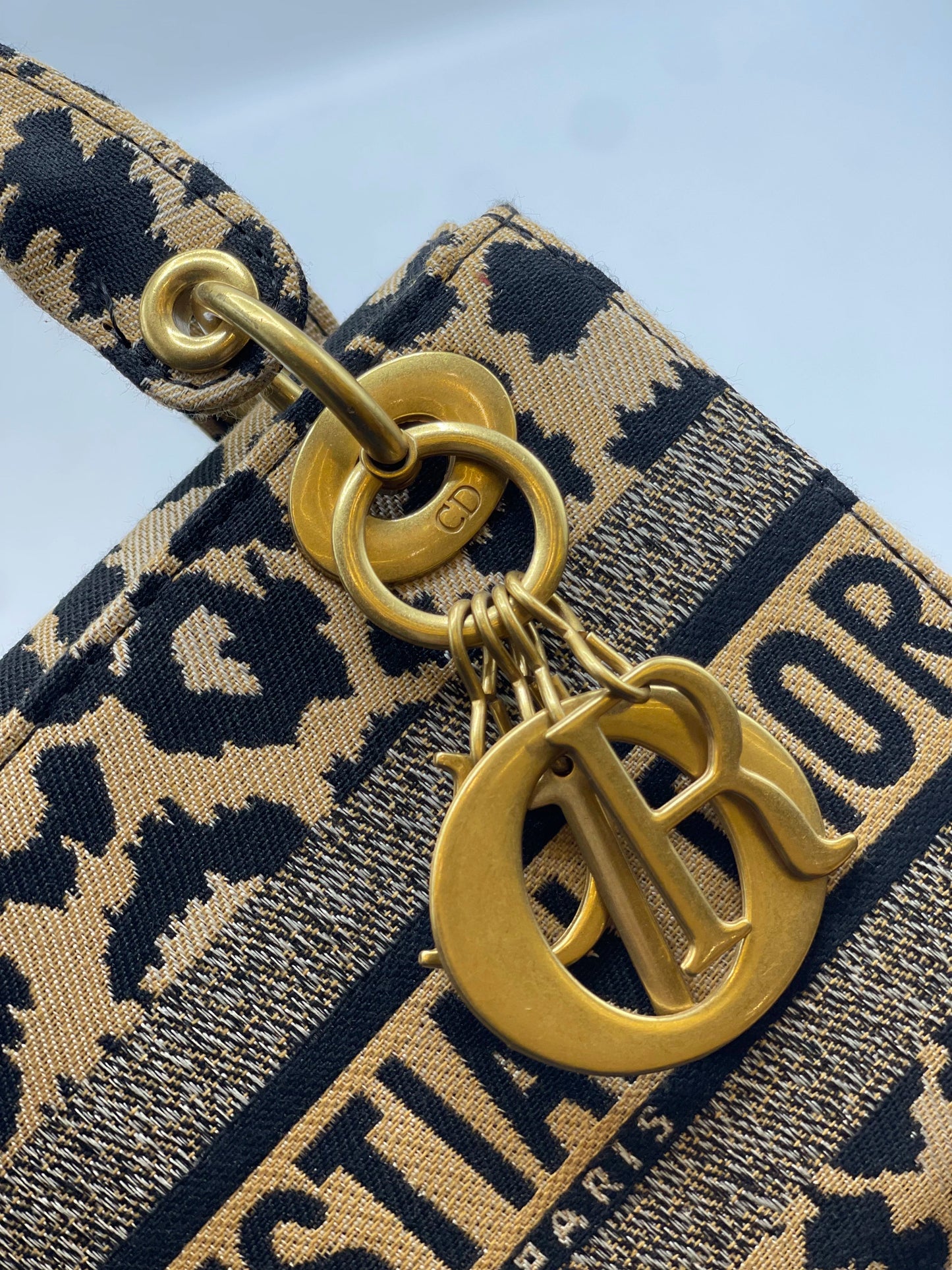 Lady Dior Printed mini Handbag - Brown